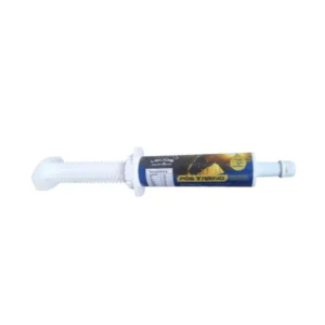 Pós Treino Líquida Equinos — seringa 80 g